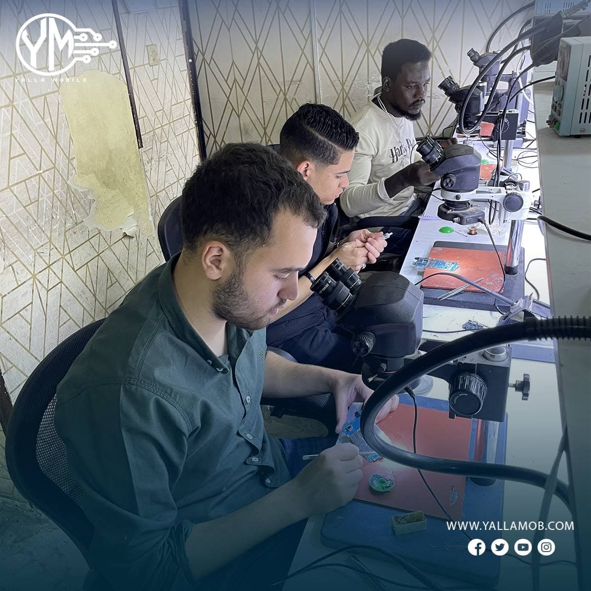 متدربان يعملان جنبًا إلى جنب تحت الميكروسكوب